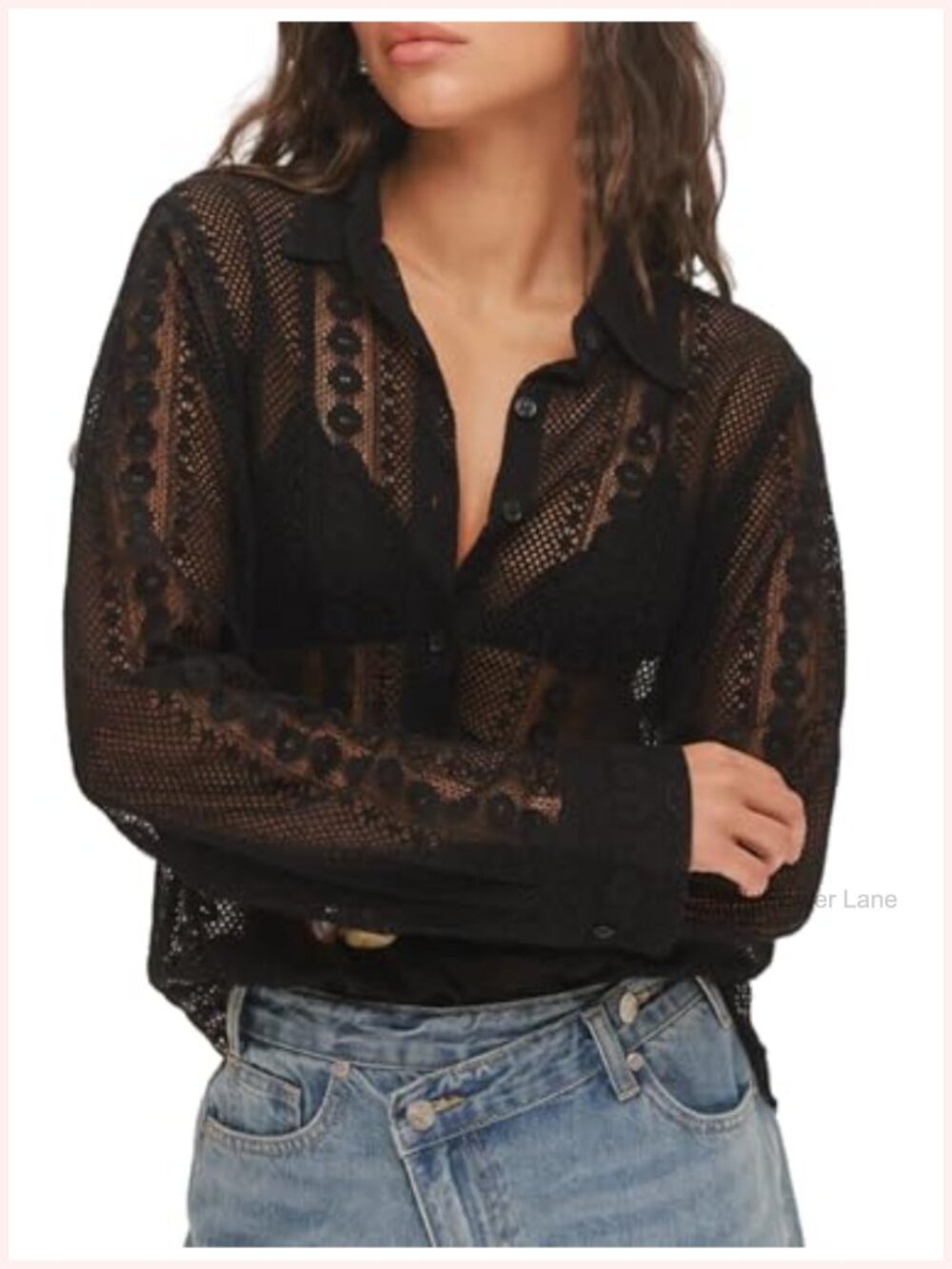 Women's Lace Blouse Long Sleeve Button Down Sheer Embroidered Mesh Y2K Top